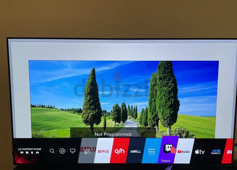LG OLED 65B9PVA TV