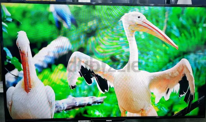 Philips 50 inch Smart TV with Ambient Lightening feature, new display unit without box