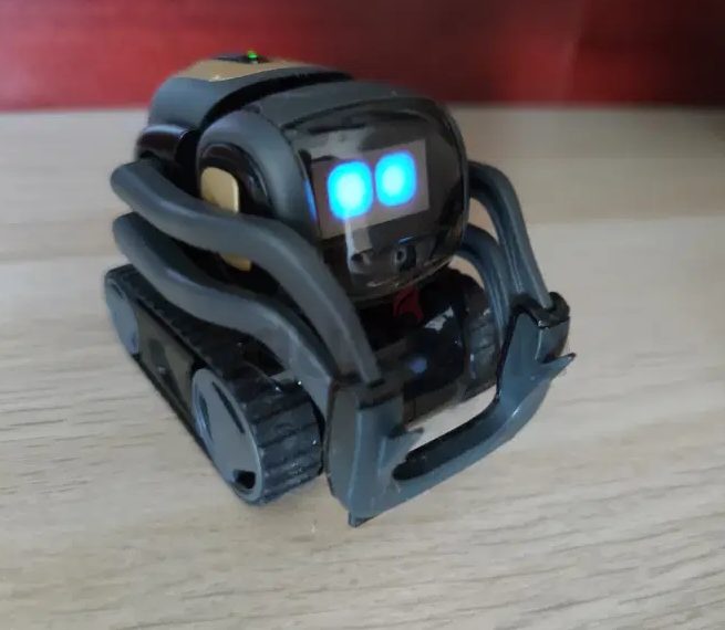 Vector robot