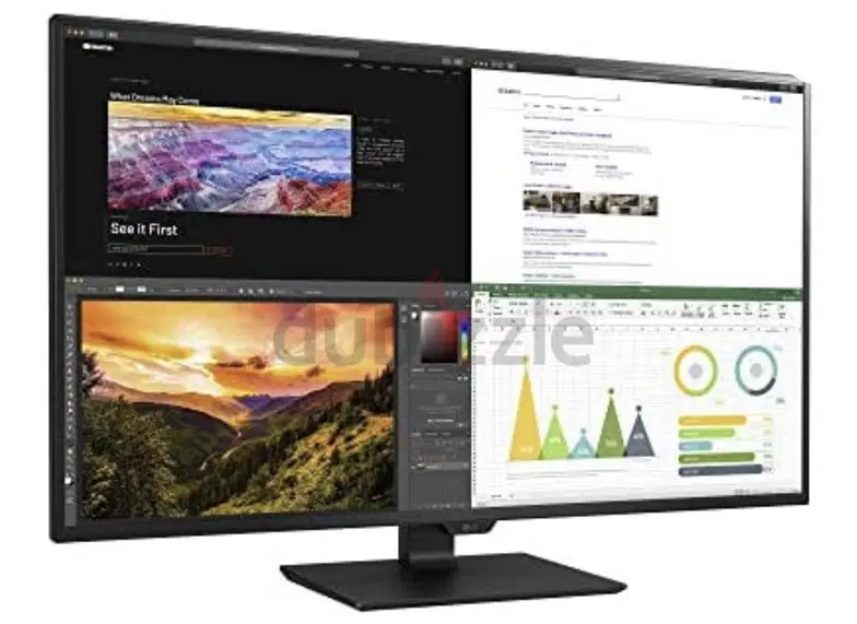 43 Inch LG IPS Display Monitor for Sale