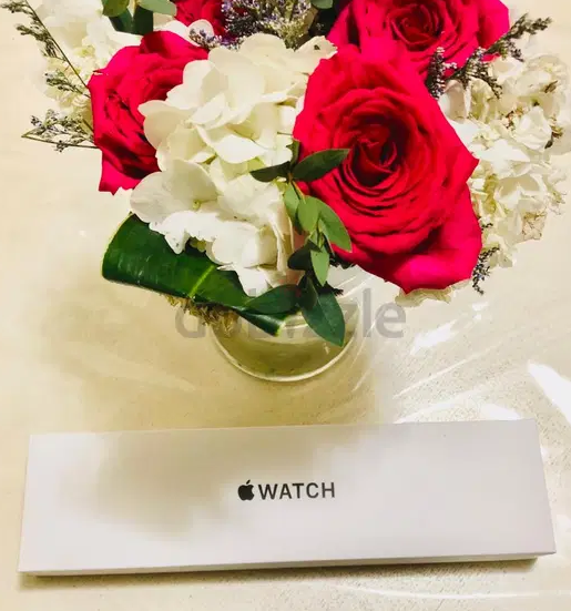 Apple watch SE