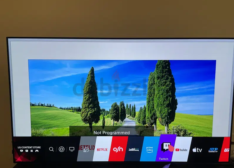 LG OLED 65B9PVA TV