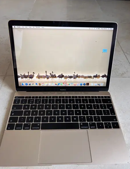 MacBook Air Gold