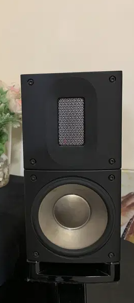 Raidho XT1