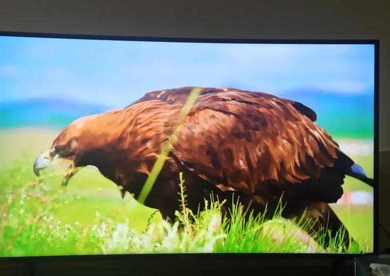 Tv Samsung 49 4k curved, like new