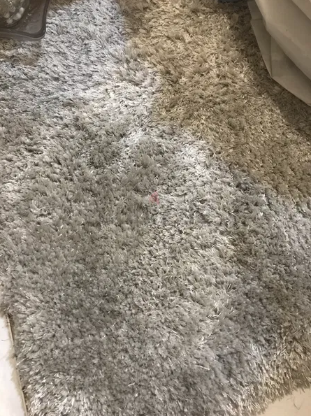 Huge size, very clean Gray Carpet 300X400CM
